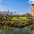 marsh in venetian lagoon with tower in the background