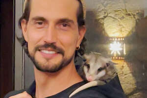 Orphaned Baby Opossum Snuggles In Her New Dad's Hoodie