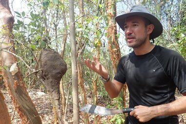 Tom Williams teaching a survival course in the woods, gesturing to a hornets nest in the forest while holding a machete.