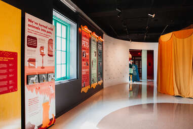 Living with Animals, Museum of Us, San Diego, California