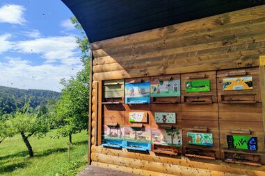 beehives in Slovenia