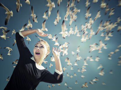 terrified woman surrounded by seagulls