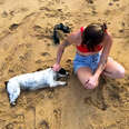 Stray Dog Keeps Following Couple On Vacation