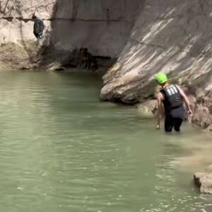 Golfers Drop Everything After Finding Someone Furry Stranded In Nearby Creek