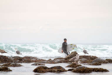 surfing Playa Tres Emes ensenada baja california Mexico 