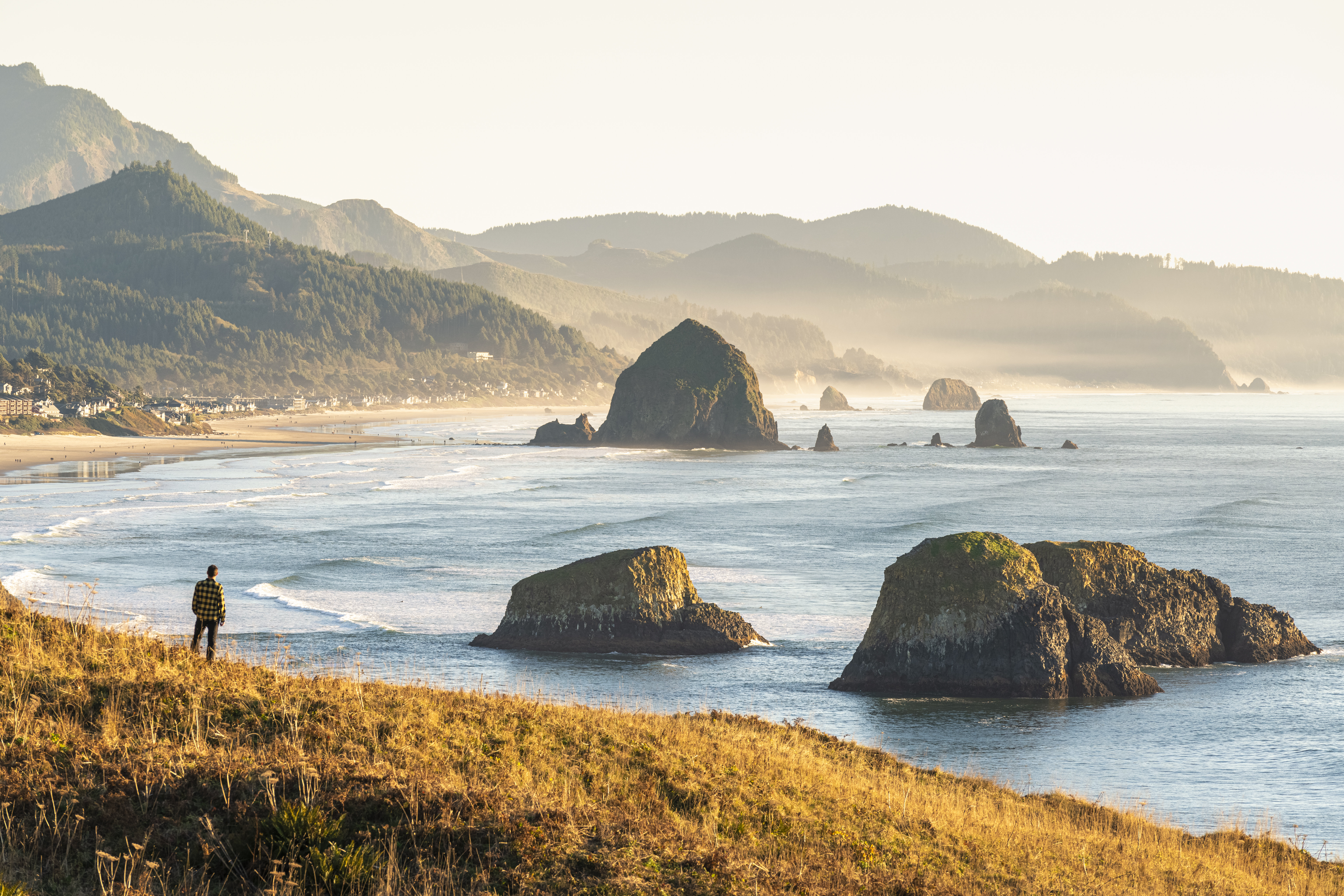 High angle view of a man looking at Cannon Beach and Haystack Rock from Ecola State Park, Cannon Beach, Clatsop county, Oregon, USA.