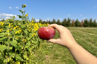 Fishkill Farms