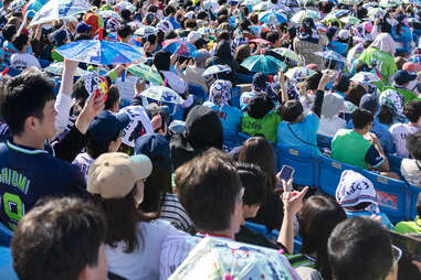 japanese fans watching a baseball game with umbrellas