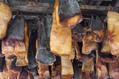 greenland shark hanging from the ceiling to ferment