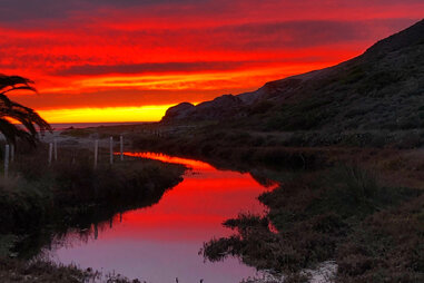 trans-catalina trail sign in the backcountry of catalina island, ca