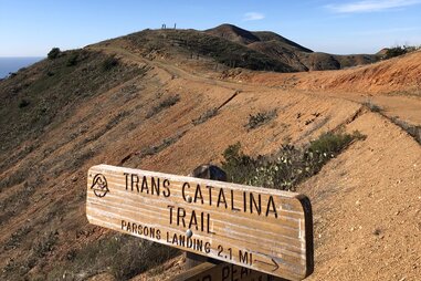 boats in two harbors on catalina island