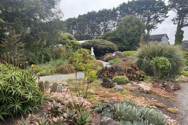 The Mendocino Coast Botanic Gardens pathway with native flora