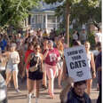 Hundreds Take To The Streets For A Peek At Local Cats Sitting In Windows