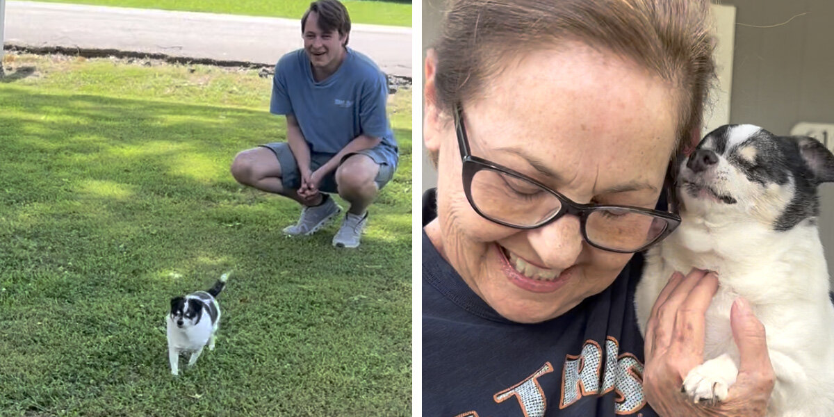 Blind Dog Gets So Excited When She Senses Her Favorite Person's Nearby