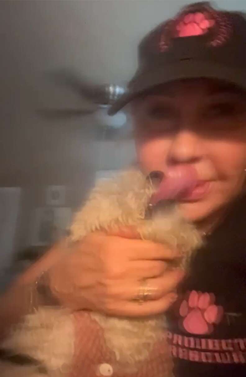 Grateful dog licks rescuer