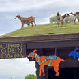 Why Are There Goats on the Roof at This Swedish Restaurant in Wisconsin?