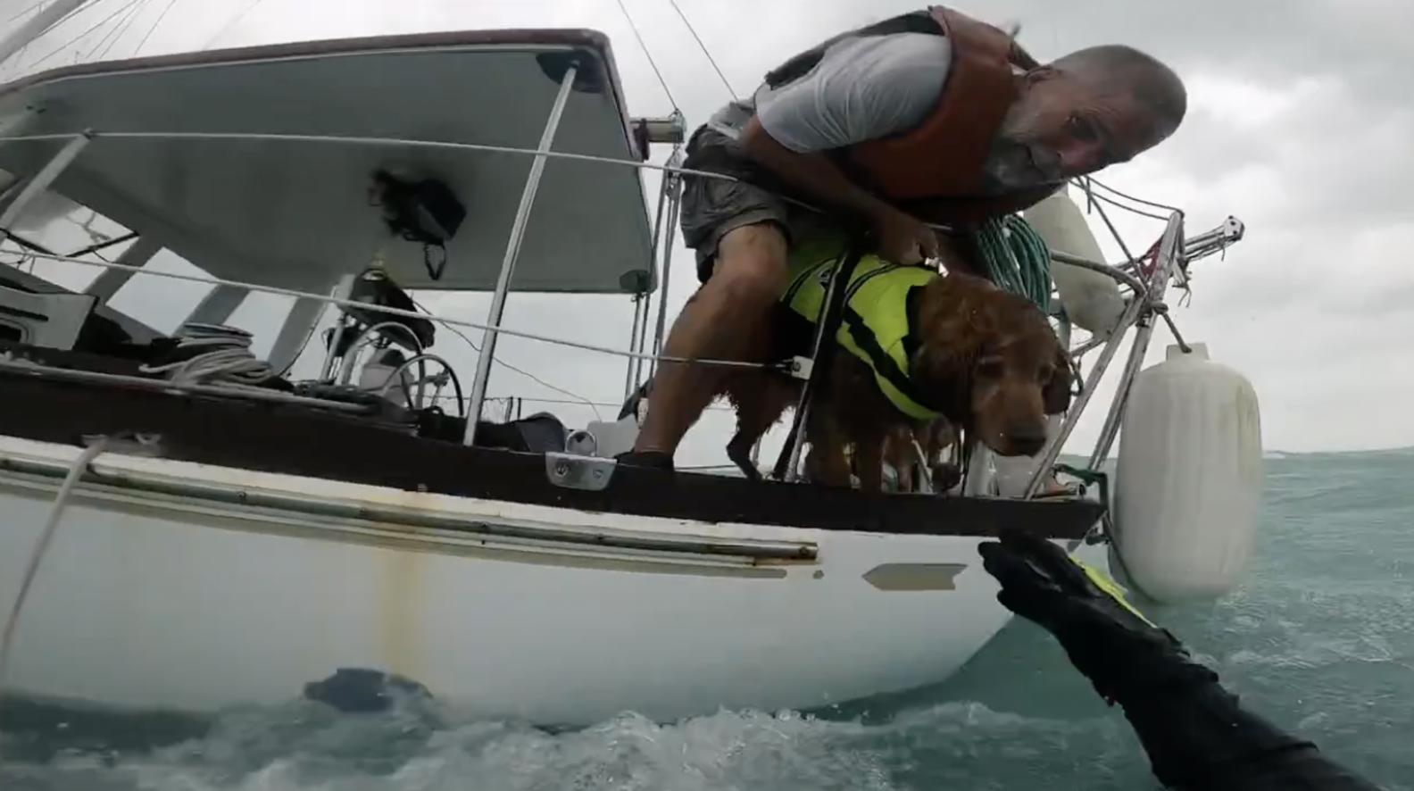 Coast Guard Rushes To Save Man And His Dog From Sailboat During ...