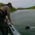 Agents Patrolling The Border Spot A Drowning Animal And Rush To Help