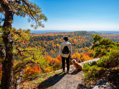 fall foliage hiking tips best leaf peeping hikes