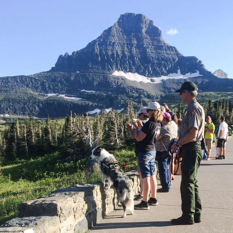 a dog and humans look at something off camera with a mountain in the background