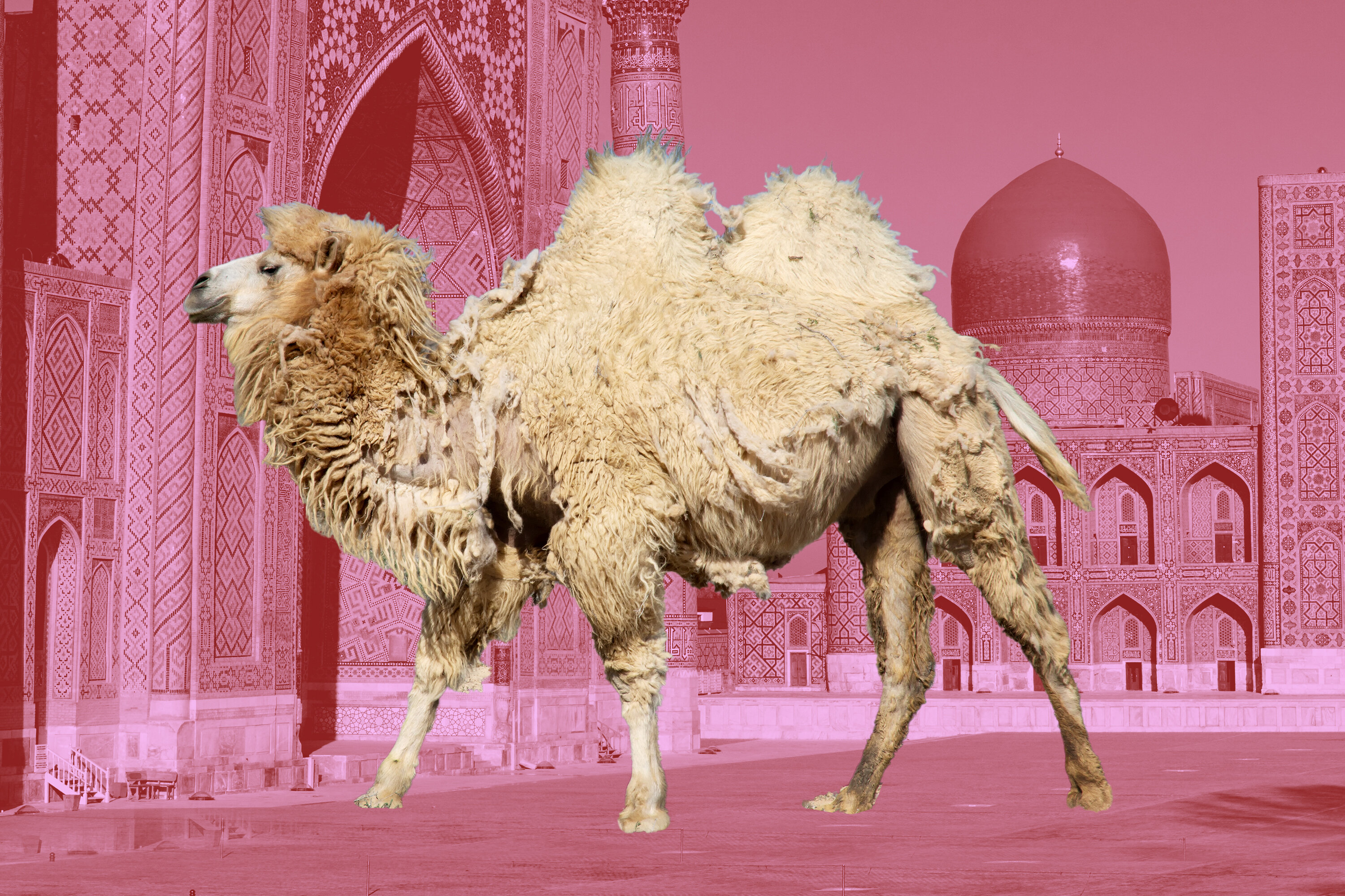 I Spent an Entire Week in Uzbekistan and This Is What It Cost