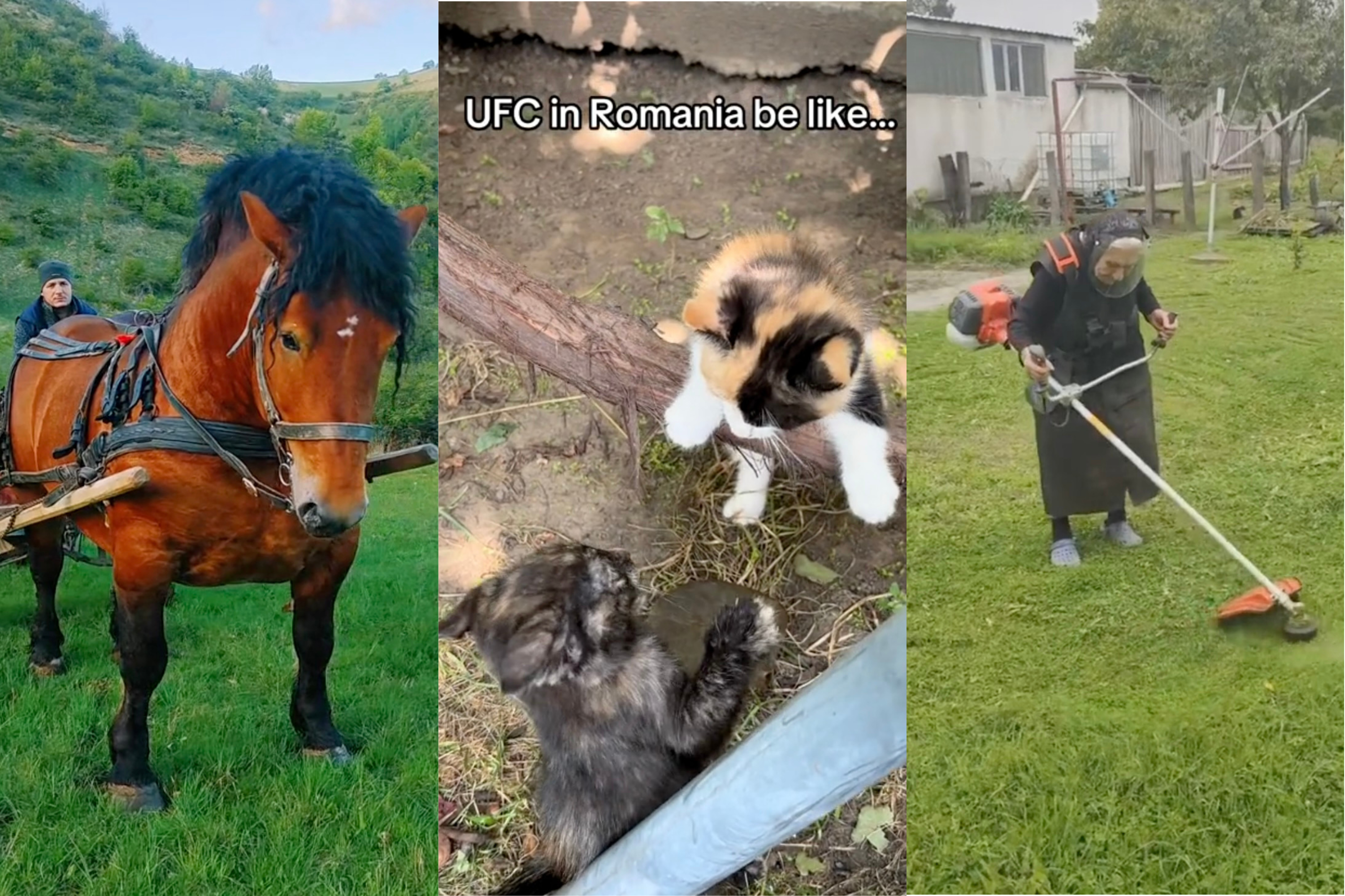 The Country of Romania Is an Unlikely TikTok Sensation