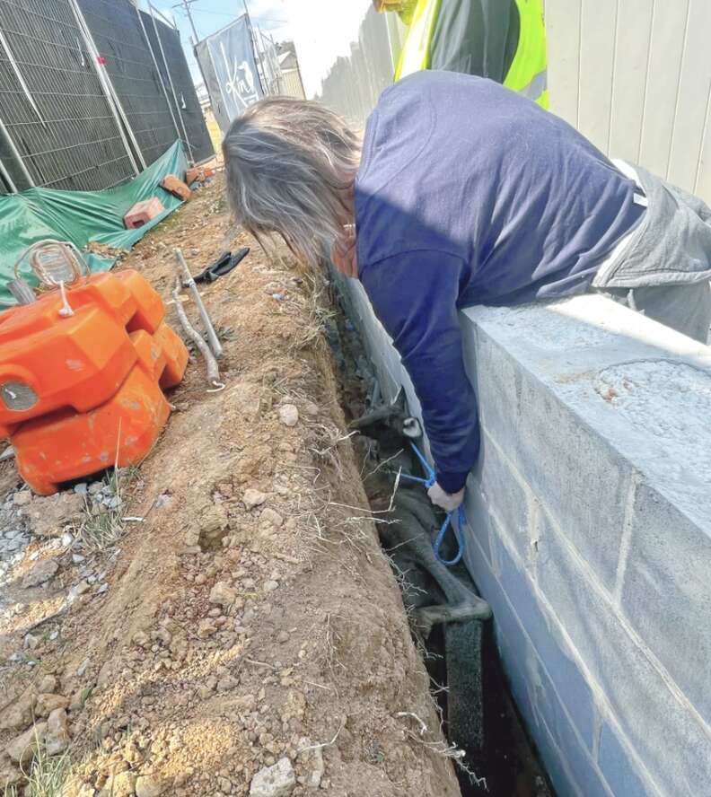 woman helping kangaroo