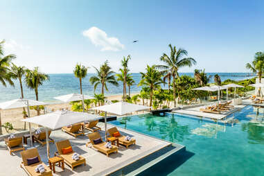 linear view of pool chairs by turquoise pool, coconut trees, and beach