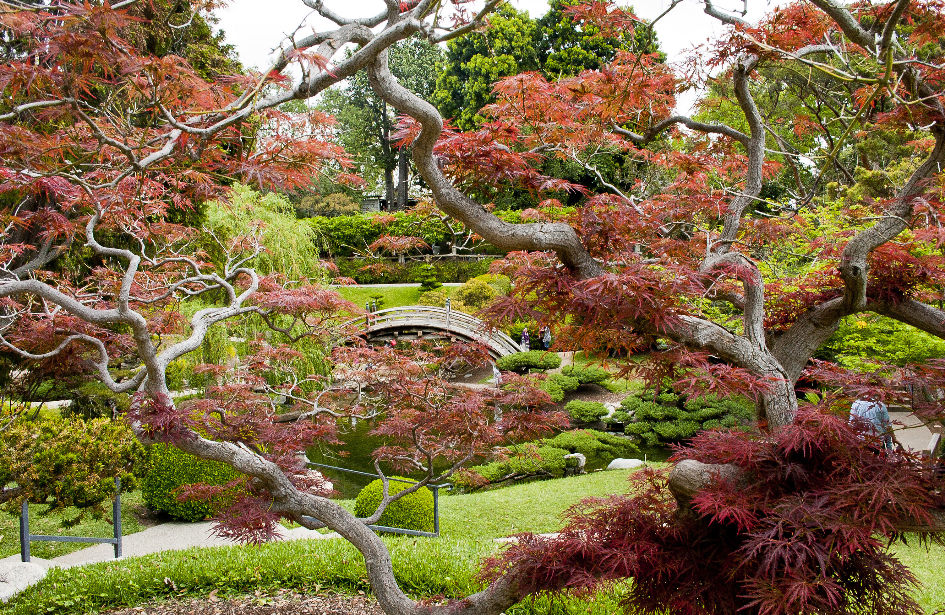 The Huntington Botanical Gardens