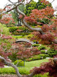 The Best Botanic Gardens in LA to See Fall Foliage