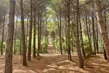 hiking trail Sardinia