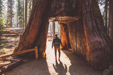 Yosemite National Park