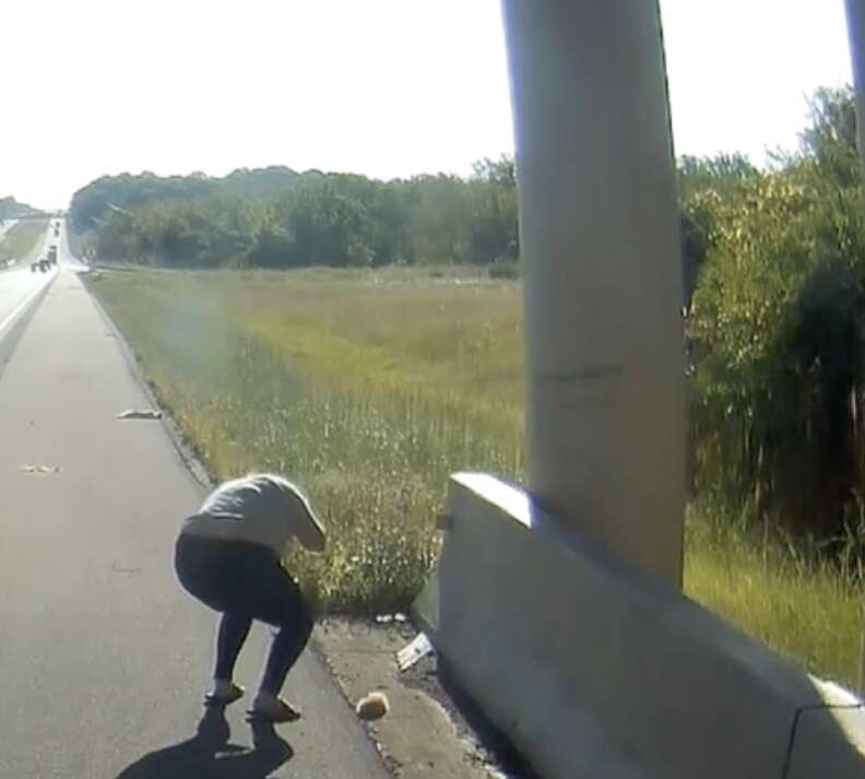 Woman checking on kitten on side of highway