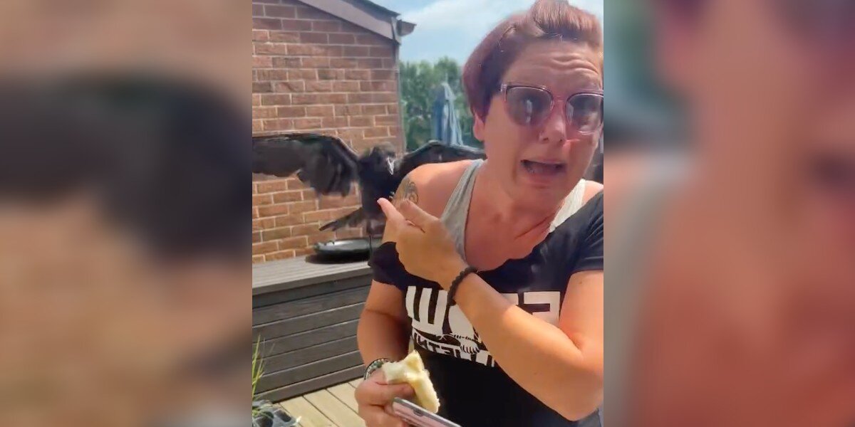 Baby Crow Shows Up Exactly When Grieving Family Needs Him Most