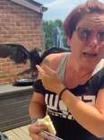 Baby Crow Shows Up Exactly When Grieving Family Needs Him Most