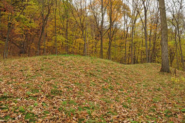 sacred mounds in the woods