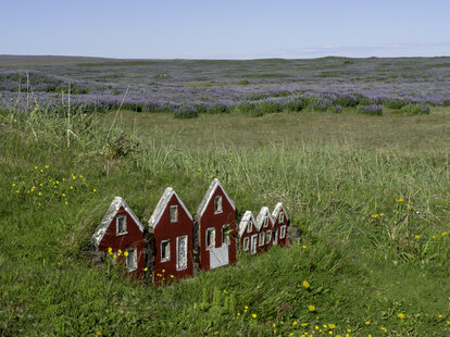 tiny red houses in the grass iceland