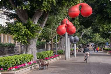 Rambla de Santa Cruz tenerife