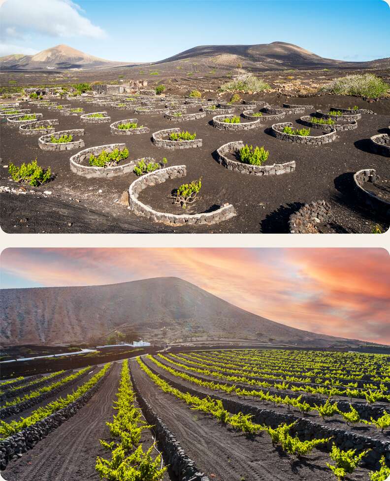 Bodega La Geria arrecife