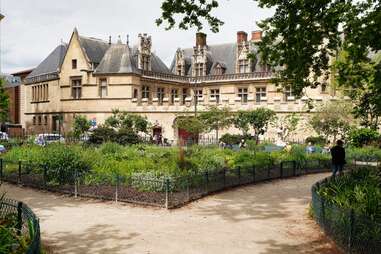 Musée de Cluny gardens and building