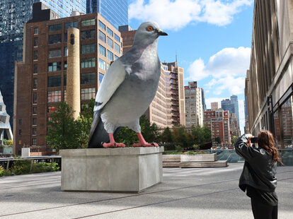 dinosaur pigeon sculpture NYC
