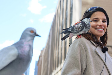 Jacqueline Quigley and her pet pigeon Frankie