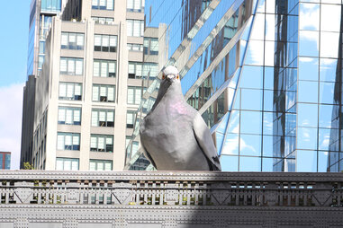 view of pigeon sculpture from the street