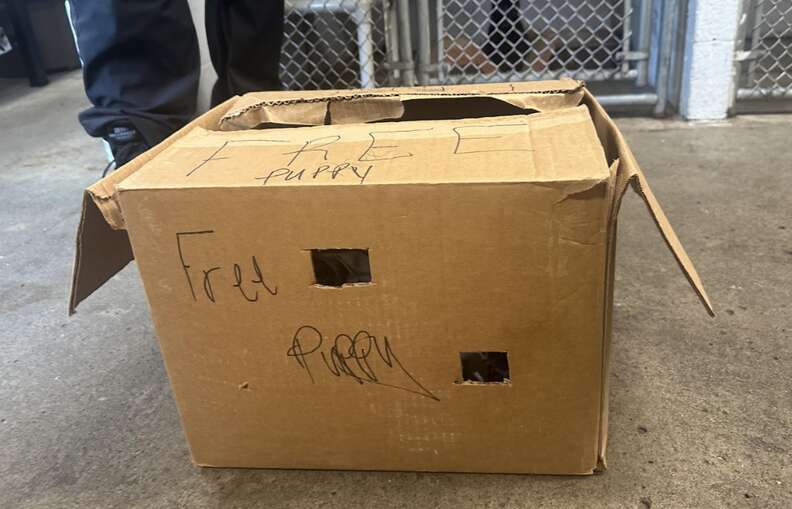 cardboard box