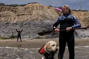 Dog Loves Nothing More Than To Surf With Her Dad 