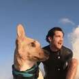 Dog Loves To Do All Sorts Of Ocean Sports With Dad