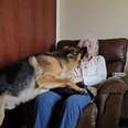 German Sheperd Loves Visiting Grandma At The Nursing Home