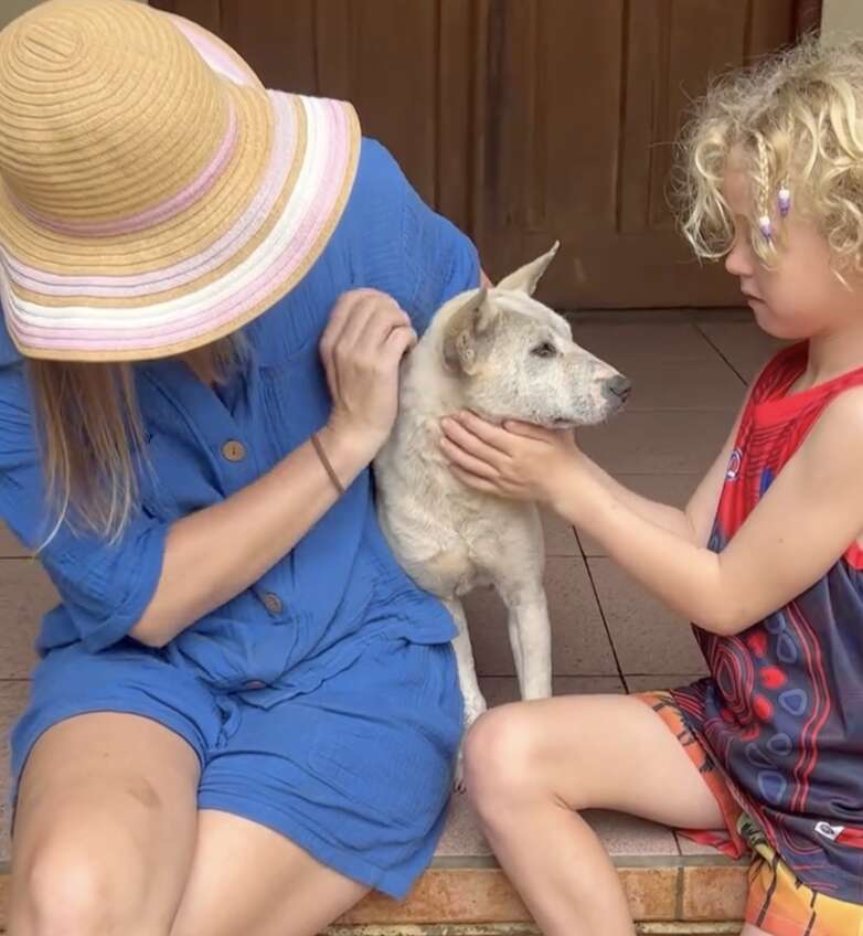 Perro blanco entre dos personas.