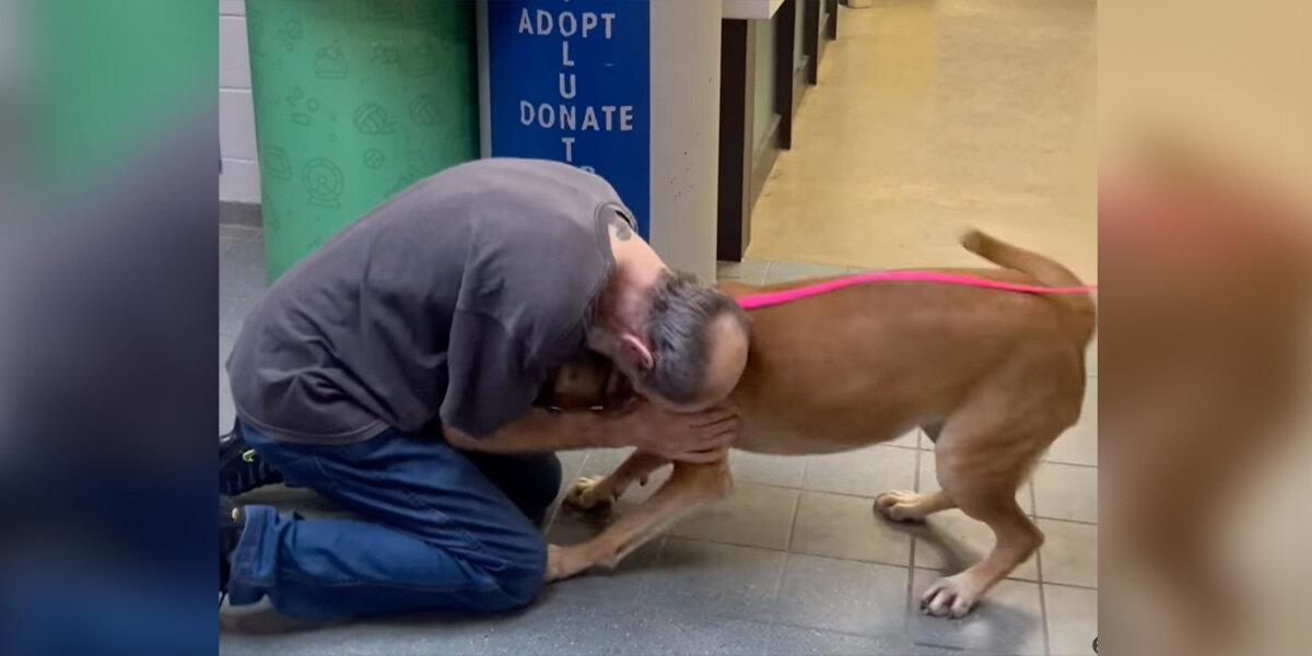 Tears Of Joy As Cancer Survivor Re-Adopts Dog He Was Forced To ...