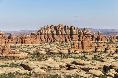 Needles rock formations in Canyonlands National Park, Utah
